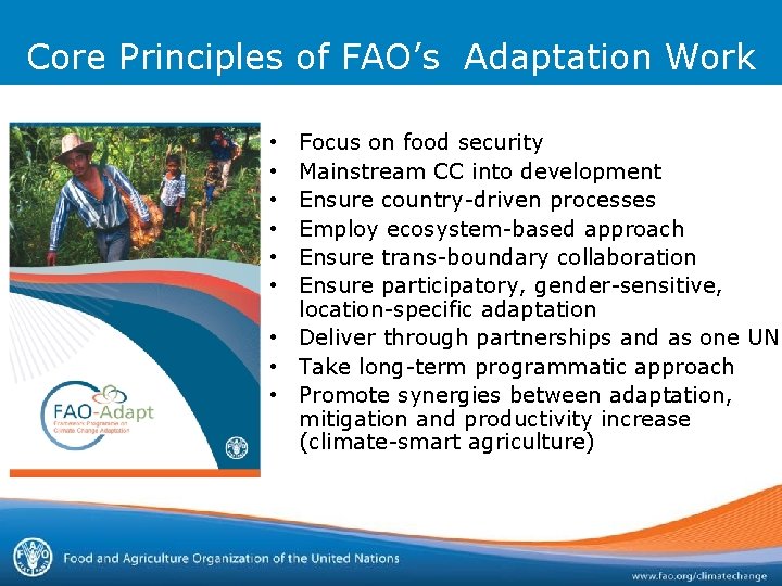 Core Principles of FAO’s Adaptation Work Focus on food security Mainstream CC into development Core Principles of FAO’s Adaptation Work Focus on food security Mainstream CC into development