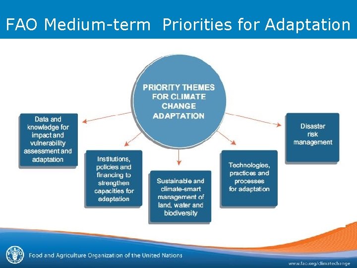 FAO Medium-term Priorities for Adaptation 