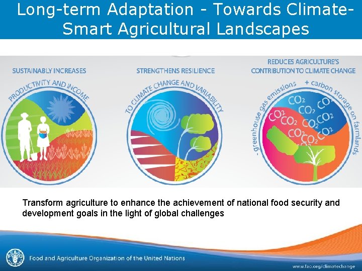 Long-term Adaptation - Towards Climate. Smart Agricultural Landscapes Transform agriculture to enhance the achievement