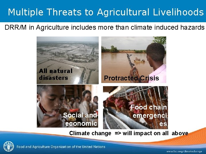 Multiple Threats to Agricultural Livelihoods DRR/M in Agriculture includes more than climate induced hazards Multiple Threats to Agricultural Livelihoods DRR/M in Agriculture includes more than climate induced hazards