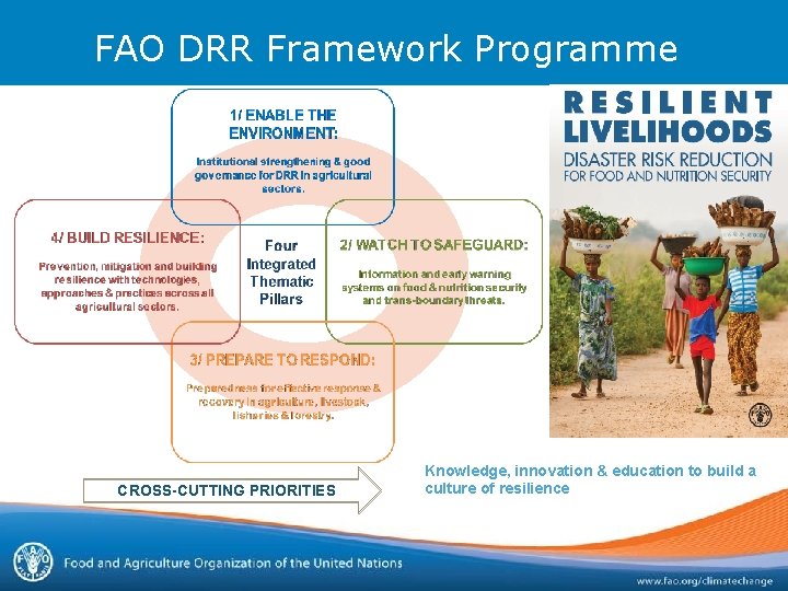 FAO DRR Framework Programme CROSS-CUTTING PRIORITIES Knowledge, innovation & education to build a culture FAO DRR Framework Programme CROSS-CUTTING PRIORITIES Knowledge, innovation & education to build a culture