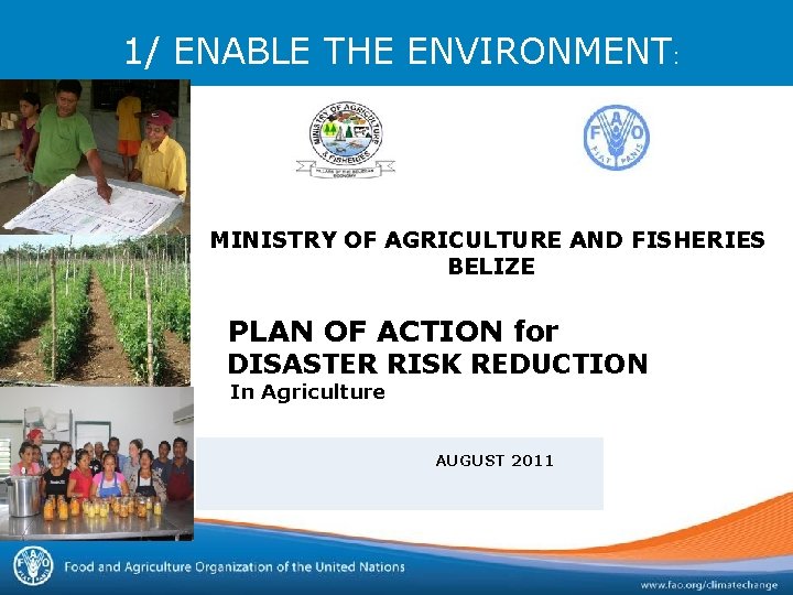 1/ ENABLE THE ENVIRONMENT: MINISTRY OF AGRICULTURE AND FISHERIES BELIZE PLAN OF ACTION for