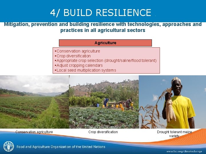 4/ BUILD RESILIENCE . Mitigation, prevention and building resilience with technologies, approaches and practices