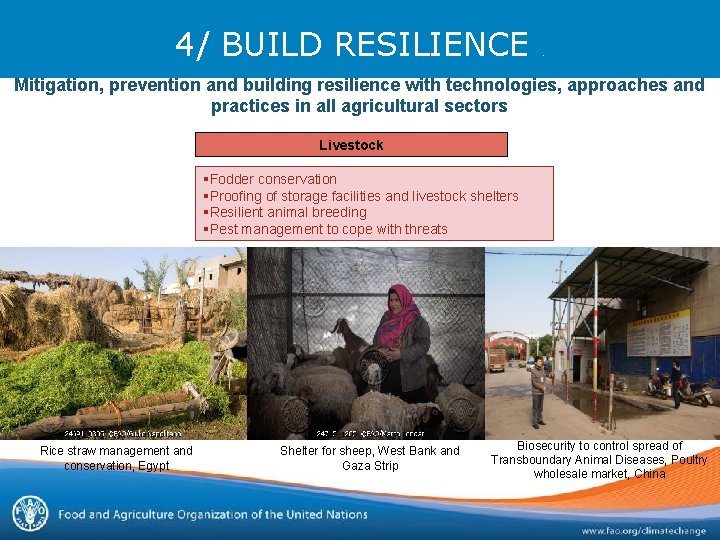 4/ BUILD RESILIENCE . Mitigation, prevention and building resilience with technologies, approaches and practices