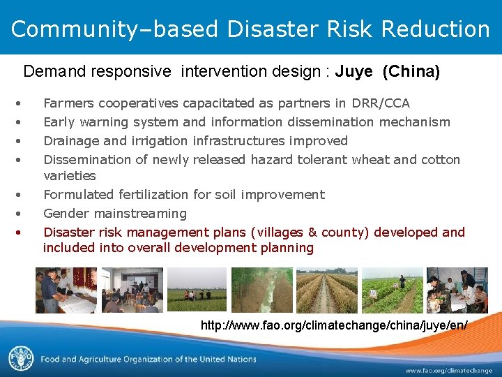 Community–based Disaster Risk Reduction Demand responsive intervention design : Juye (China) • • Farmers