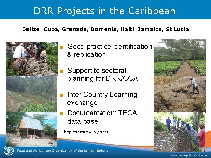 DRR Projects in the Caribbean Belize , Cuba, Grenada, Domenia, Haiti, Jamaica, St Lucia
