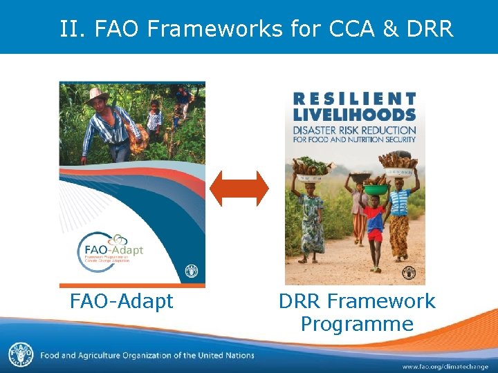 II. FAO Frameworks for CCA & DRR FAO-Adapt DRR Framework Programme 