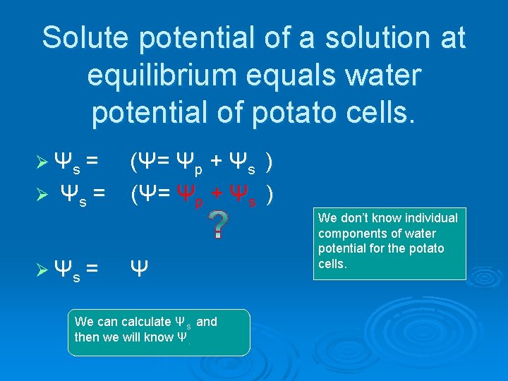 Solute potential of a solution at equilibrium equals water potential of potato cells. Ø