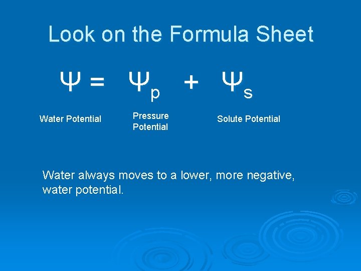 Look on the Formula Sheet Ψ = Ψp + Ψs Water Potential Pressure Potential