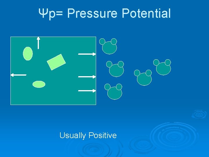 Ψp= Pressure Potential Usually Positive 