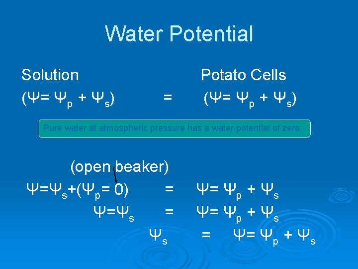 Water Potential Solution (Ψ= Ψp + Ψs) = Potato Cells (Ψ= Ψp + Ψs)