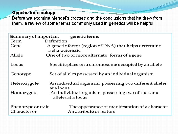 Genetic terminology Before we examine Mendel’s crosses and the conclusions that he drew from