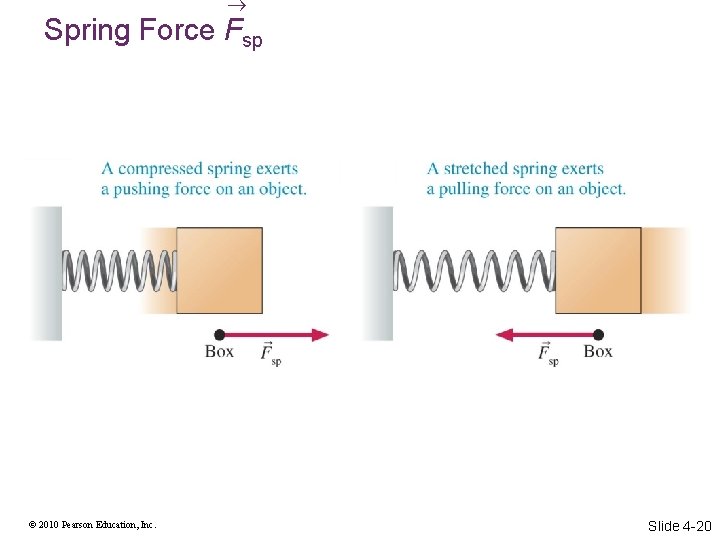  Spring Force Fsp © 2010 Pearson Education, Inc. Slide 4 -20 