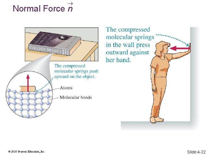  Normal Force n © 2010 Pearson Education, Inc. Slide 4 -22 