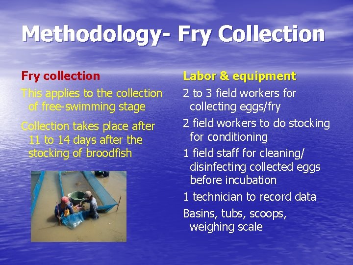 Methodology- Fry Collection Fry collection This applies to the collection of free-swimming stage Collection