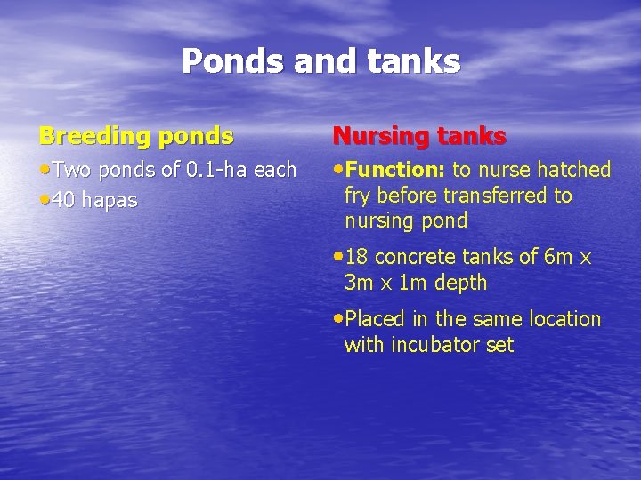 Ponds and tanks Breeding ponds • Two ponds of 0. 1 -ha each •