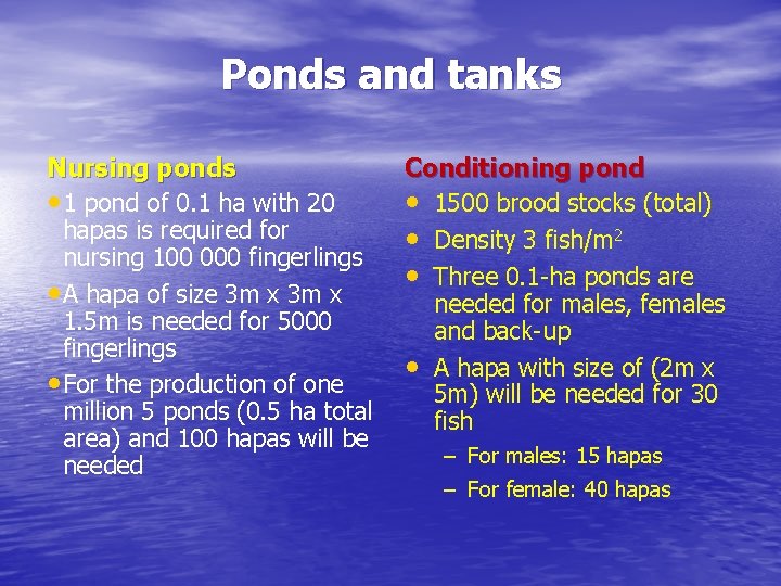 Ponds and tanks Nursing ponds • 1 pond of 0. 1 ha with 20