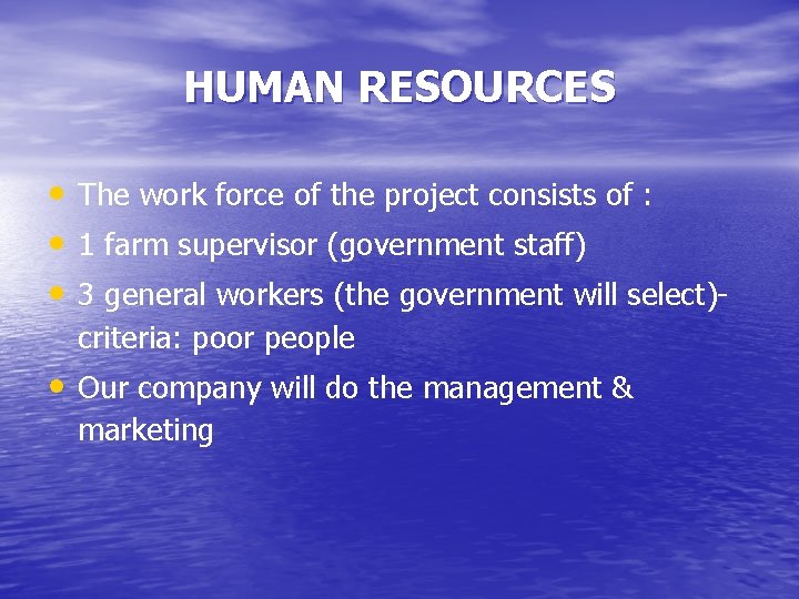 HUMAN RESOURCES • The work force of the project consists of : • 1