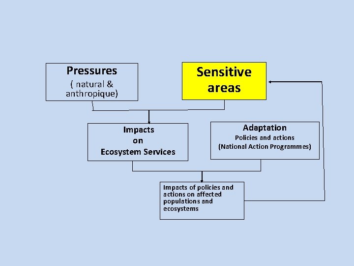 Sensitive areas Pressures ( natural & anthropique) Impacts on Ecosystem Services Adaptation Policies and