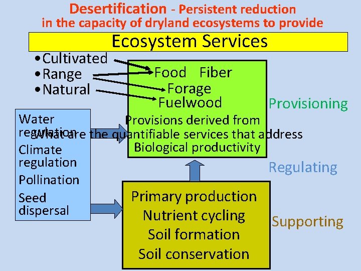 Desertification - Persistent reduction in the capacity of dryland ecosystems to provide • Cultivated