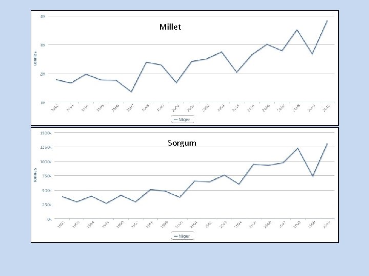 Millet Sorgum 