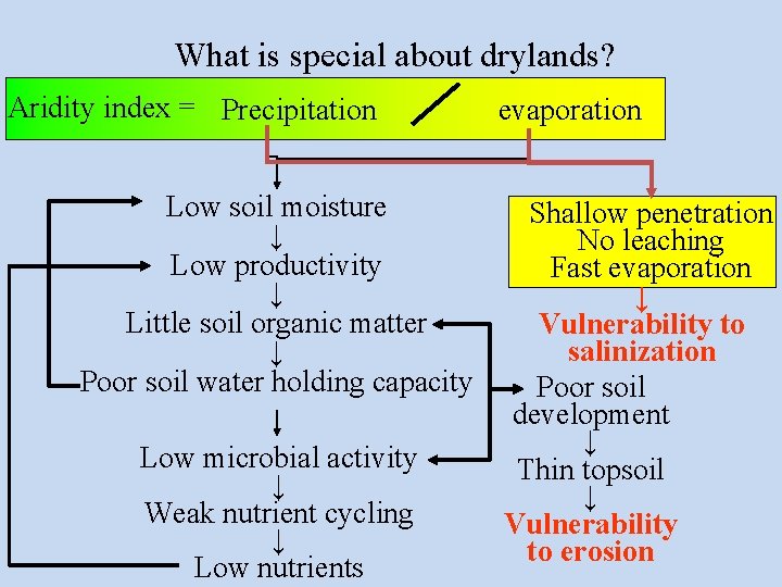 What is special about drylands? precipitation Aridity index. Low = Precipitation High evaporation Low