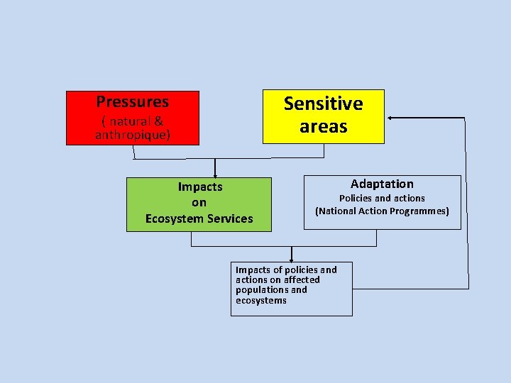 Sensitive areas Pressures ( natural & anthropique) Impacts on Ecosystem Services Adaptation Policies and