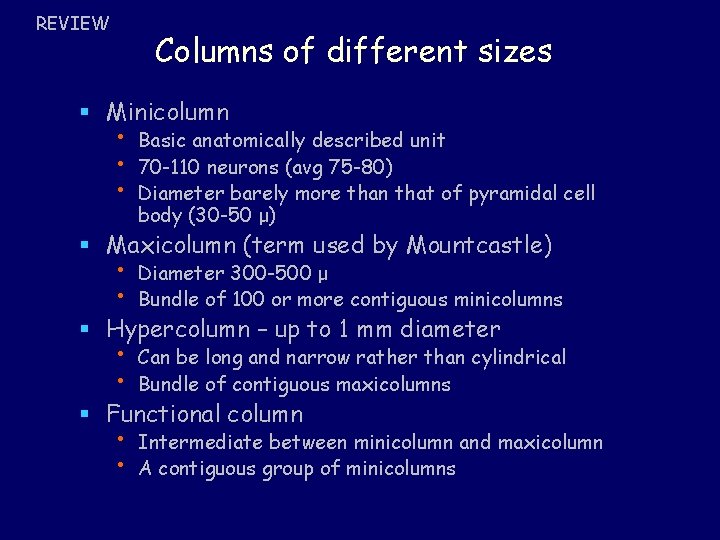 REVIEW Columns of different sizes § Minicolumn • • • Basic anatomically described unit