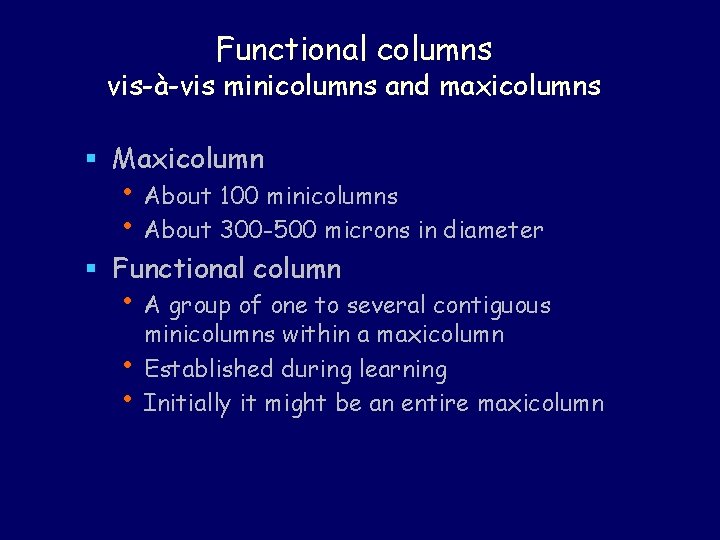 Functional columns vis-à-vis minicolumns and maxicolumns § Maxicolumn • About 100 minicolumns • About