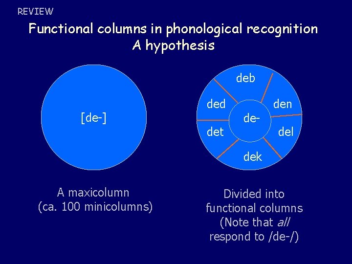 REVIEW Functional columns in phonological recognition A hypothesis deb [de-] ded det de- den