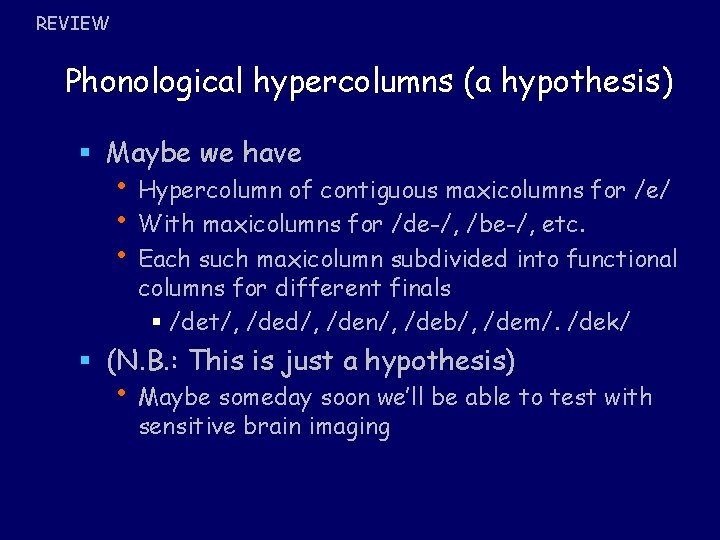 REVIEW Phonological hypercolumns (a hypothesis) § Maybe we have • Hypercolumn of contiguous maxicolumns