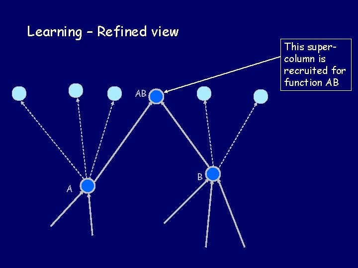 Learning – Refined view This supercolumn is recruited for function AB AB A B