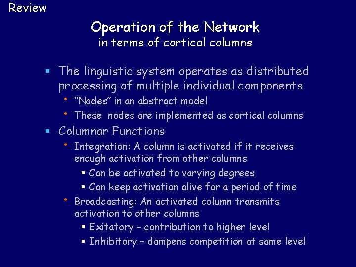 Review Operation of the Network in terms of cortical columns § The linguistic system