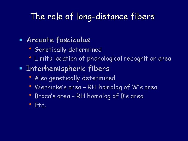 The role of long-distance fibers § Arcuate fasciculus • Genetically determined • Limits location