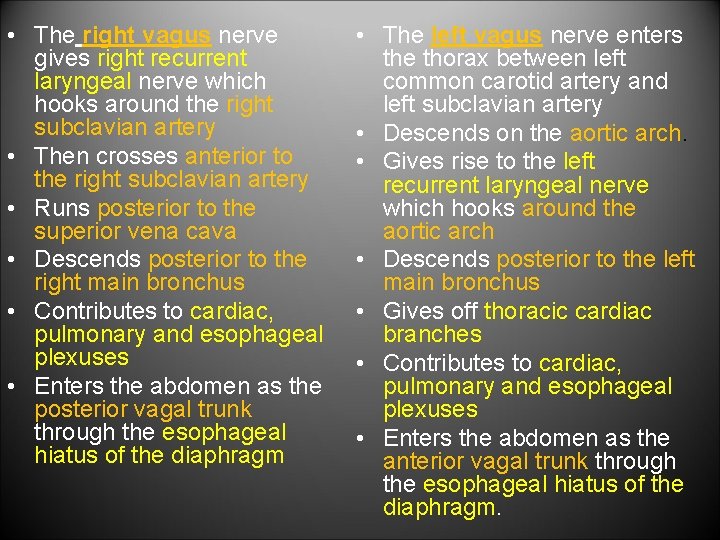  • The right vagus nerve gives right recurrent laryngeal nerve which hooks around