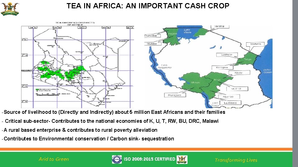 TEA IN AFRICA: AN IMPORTANT CASH CROP Insert your text here. -Source of livelihood