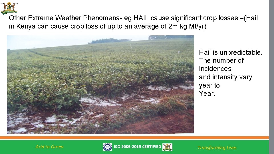 Other Extreme Weather Phenomena- eg HAIL cause significant crop losses –(Hail in Kenya can