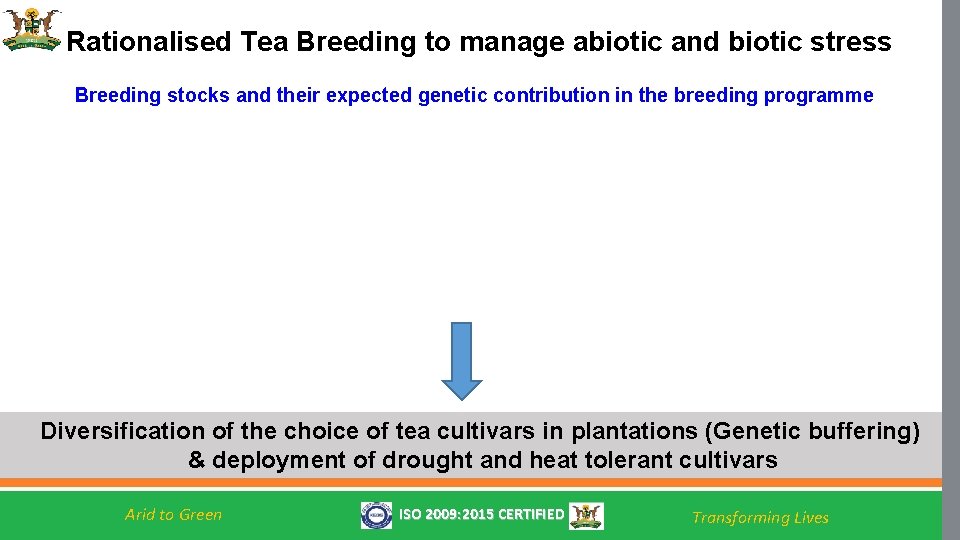 Rationalised Tea Breeding to manage abiotic and biotic stress Breeding stocks and their expected