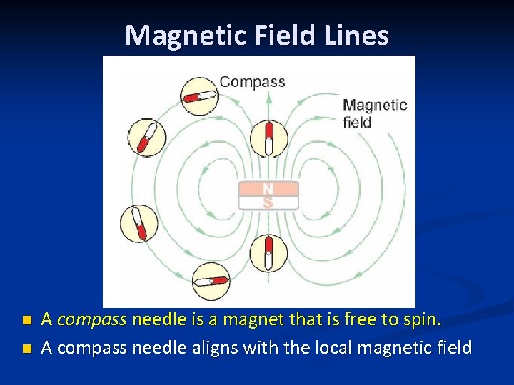 Magnetic Field Lines n n A compass needle is a magnet that is free