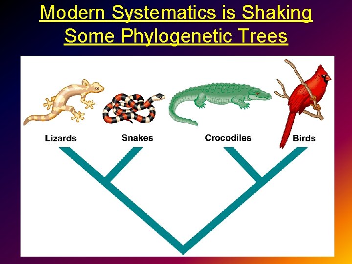 Modern Systematics is Shaking Some Phylogenetic Trees 