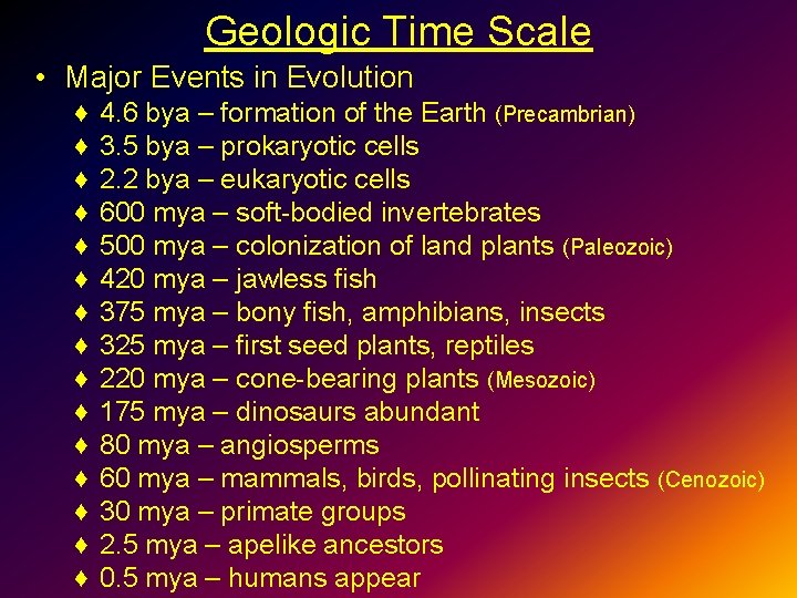 Geologic Time Scale • Major Events in Evolution ♦ ♦ ♦ ♦ 4. 6