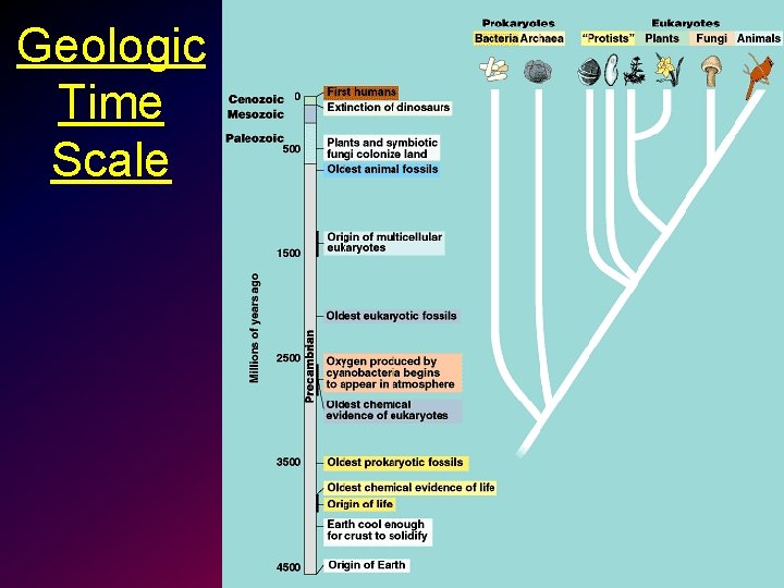 Geologic Time Scale 