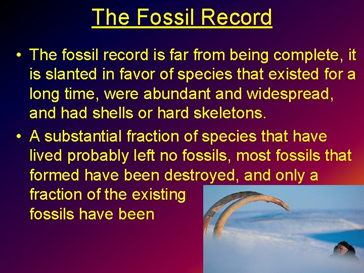 The Fossil Record • The fossil record is far from being complete, it is