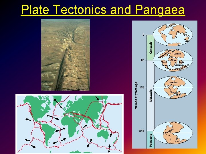 Plate Tectonics and Pangaea 