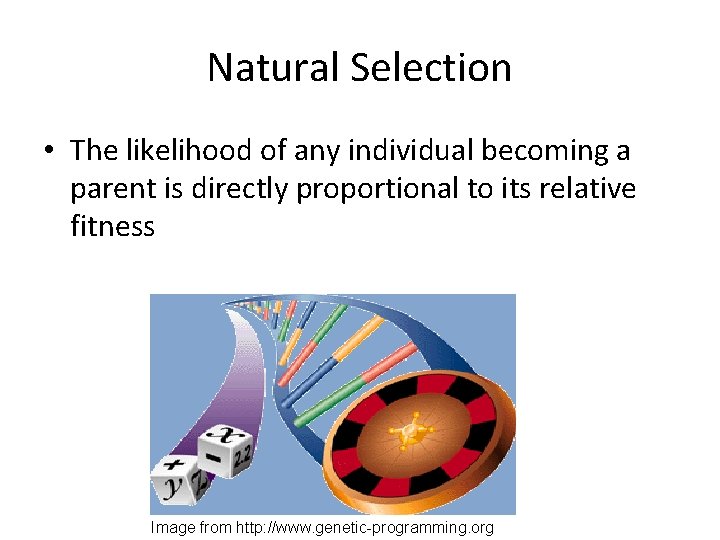 Natural Selection • The likelihood of any individual becoming a parent is directly proportional