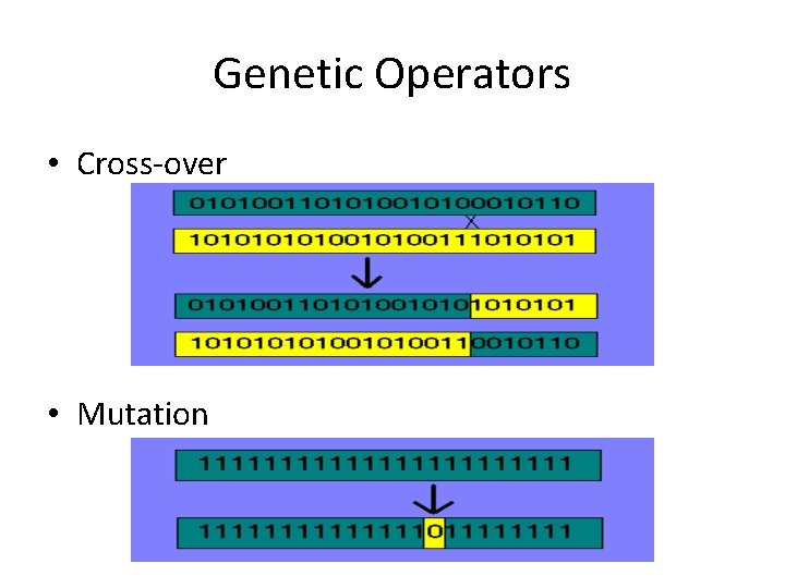 Genetic Operators • Cross-over • Mutation 