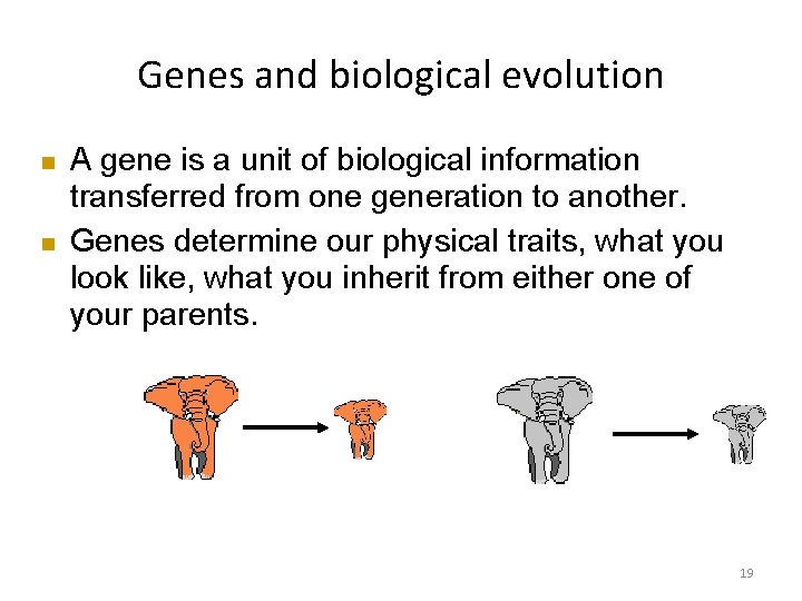 Genes and biological evolution A gene is a unit of biological information transferred from