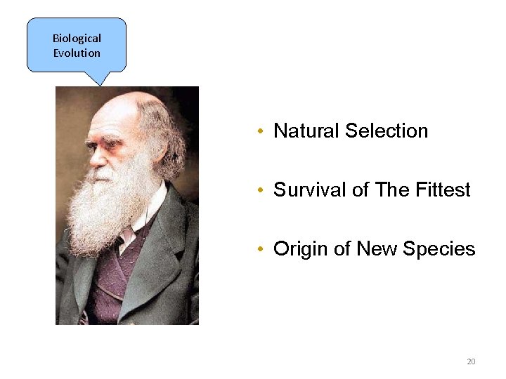 Biological Evolution • Natural Selection • Survival of The Fittest • Origin of New