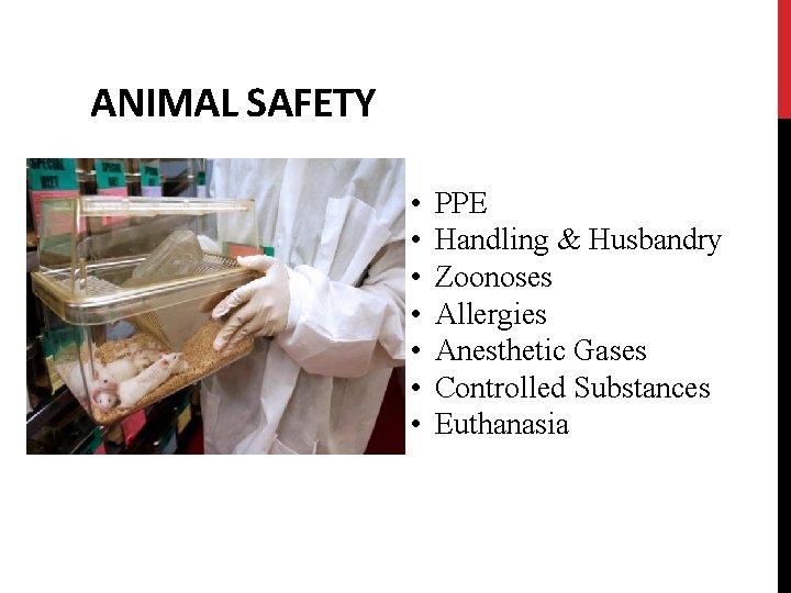 ANIMAL SAFETY • • PPE Handling & Husbandry Zoonoses Allergies Anesthetic Gases Controlled Substances