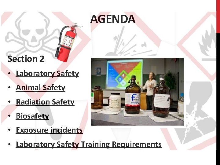 AGENDA Section 2 • Laboratory Safety • Animal Safety • Radiation Safety • Biosafety